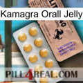 Kamagra Orall Jelly 41